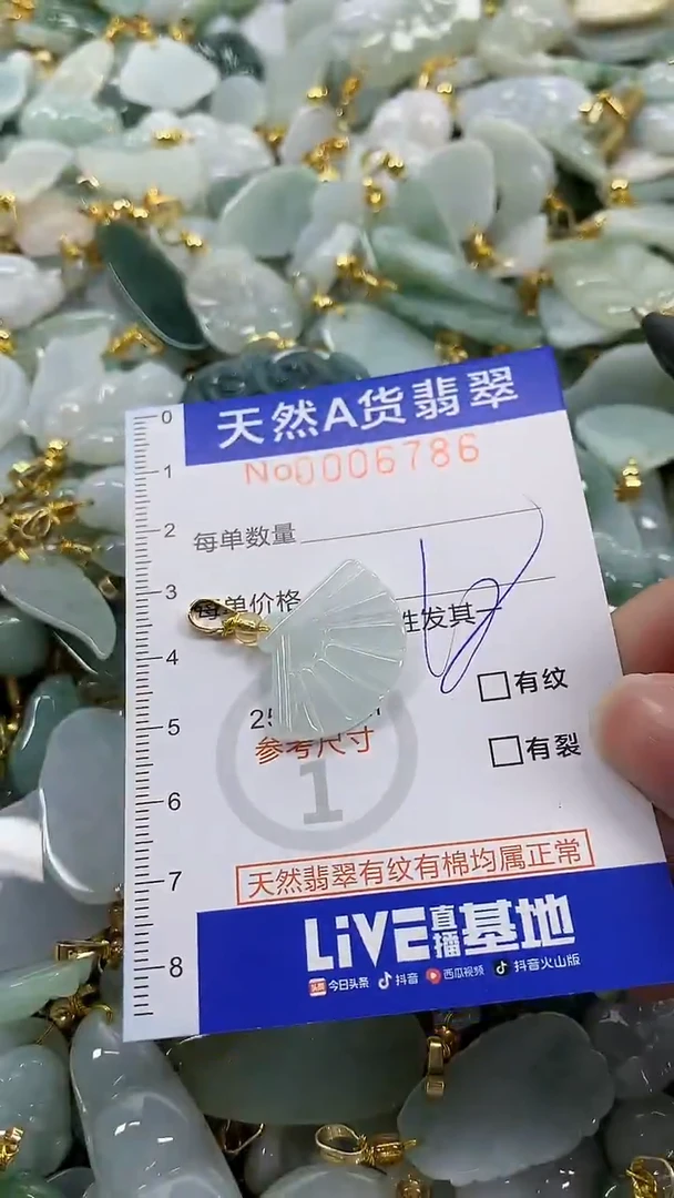 颈饰未镶嵌翡翠纯天然a货翡翠