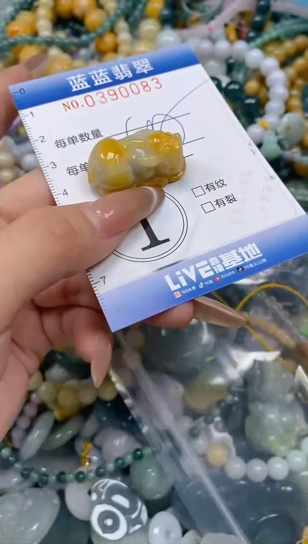 颈饰未镶嵌翡翠闪购0390083
