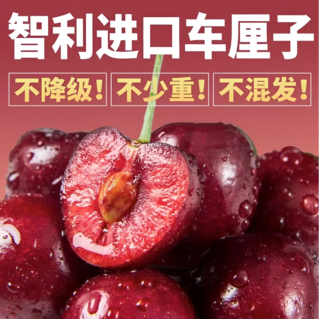 【达播专属】智利进口车厘子JD3JD原箱五斤装（拉宾斯：果面酒红，九甜一酸）
