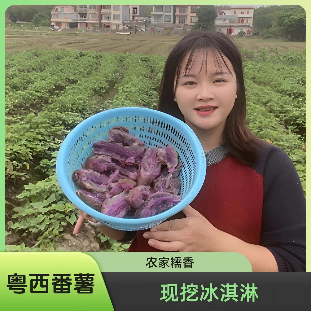 粤西阳春现挖农家冰淇凌番薯粉糯香