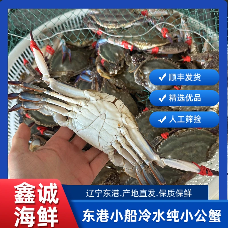 东港野生冷水纯小公【保鲜不保活】【单只2~3两】 8 9分肉 1斤4~5只