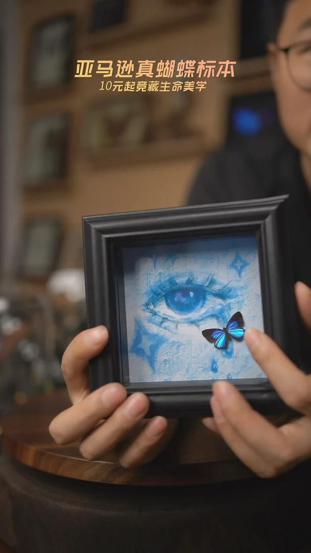 有机玻璃雅灰蝶蓝眼泪