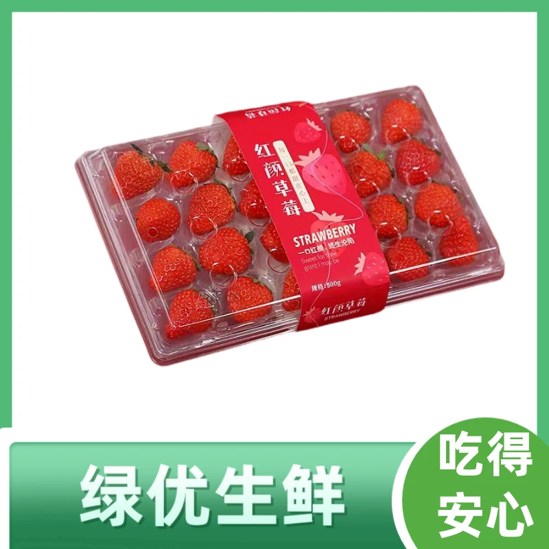 亮盒丹东草莓约560g其他/others