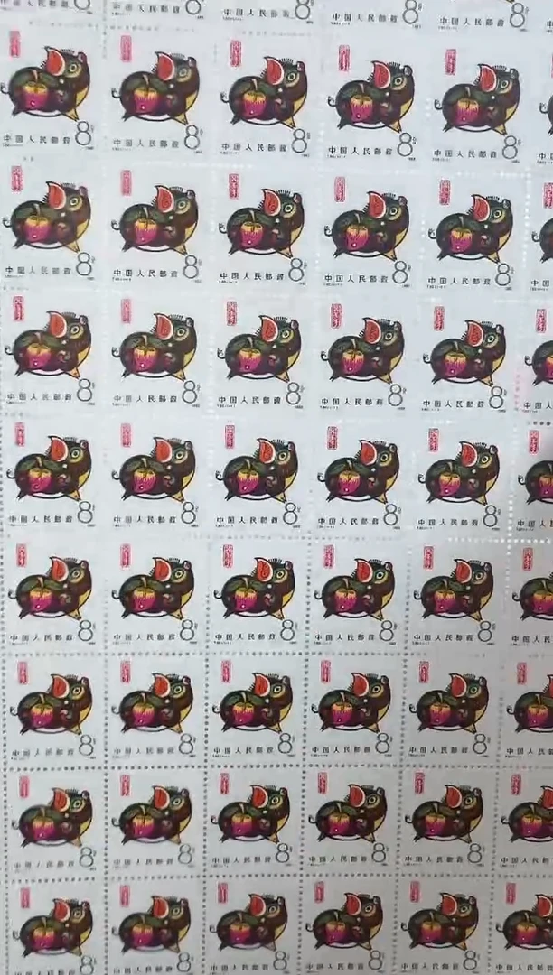 一轮生肖猪大版票