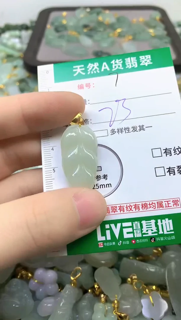 颈饰未镶嵌翡翠纯天然缅甸A货翡翠