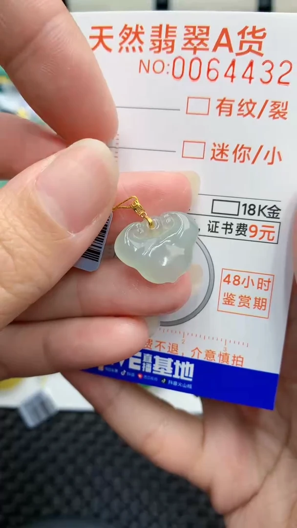 【闪购商品】翡翠颈饰18K金镶嵌            8