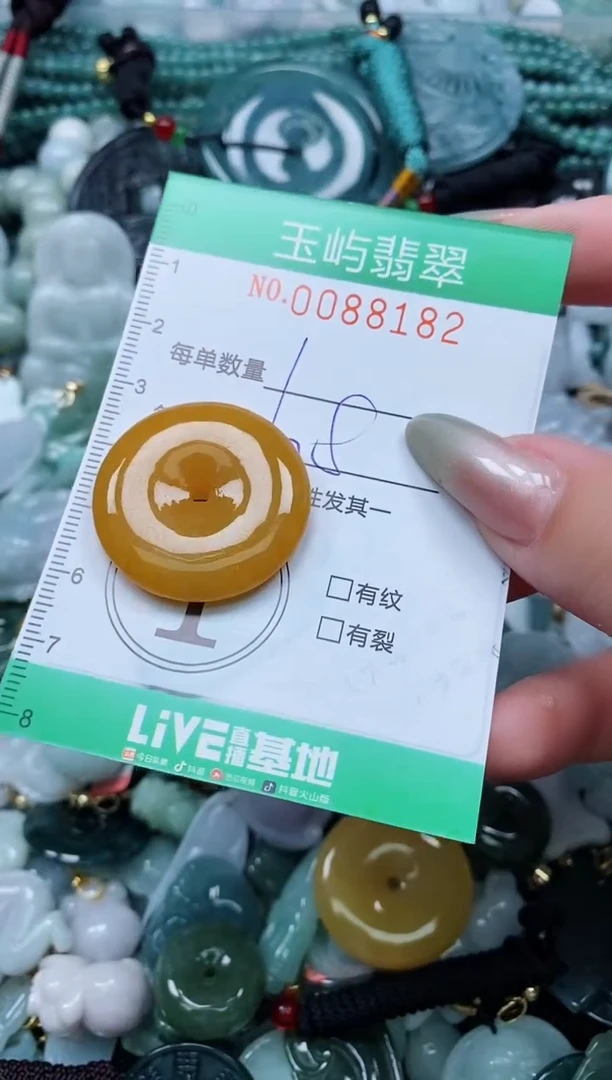 【闪购商品】翡翠颈饰未镶嵌闪购0088182