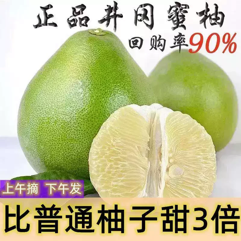 江西正宗井冈蜜柚吉安金沙柚白心柚子孕妇水果小柚子纯甜现摘现发