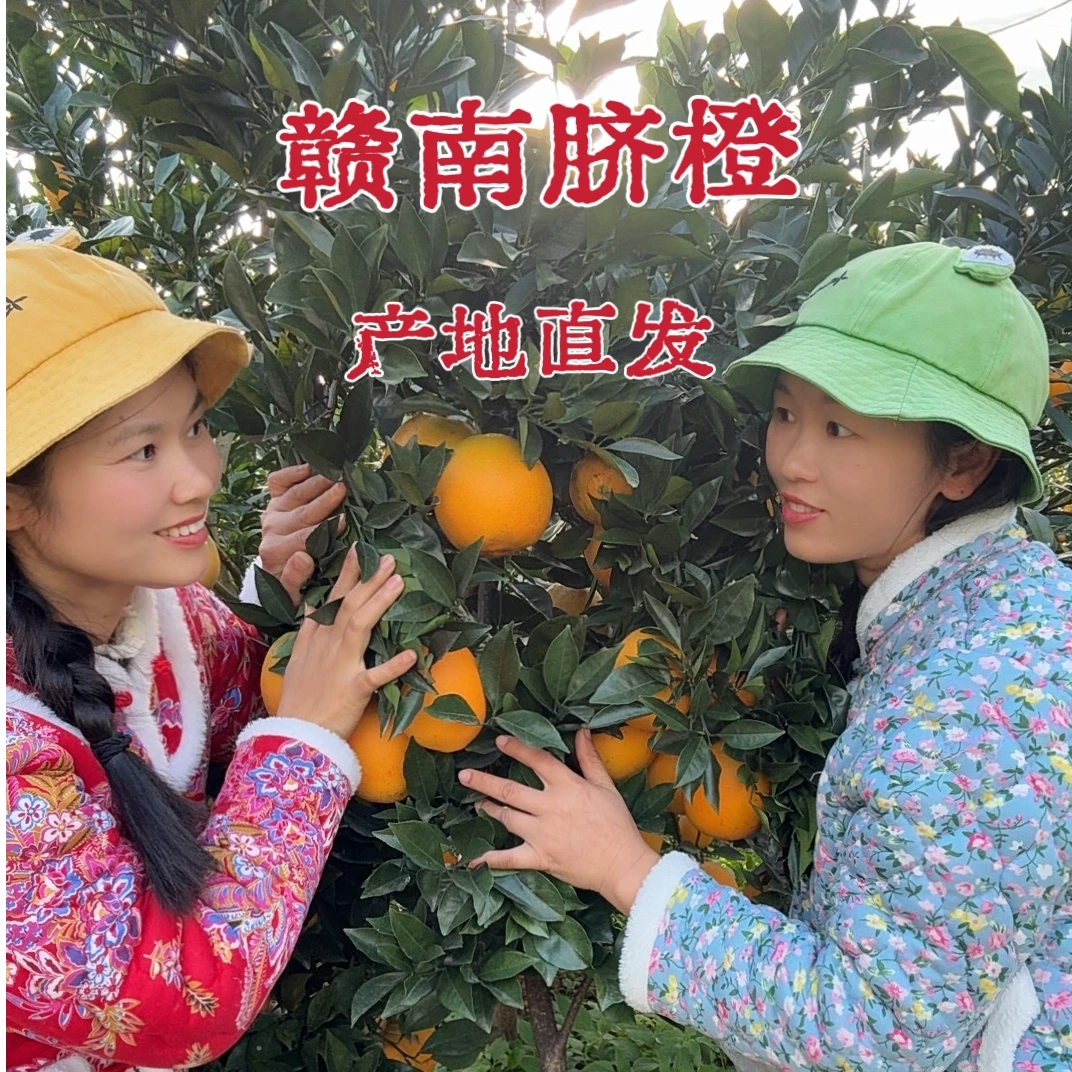 江西赣南脐橙原产地直发新鲜现摘应季水果皮薄肉嫩爆甜多汁