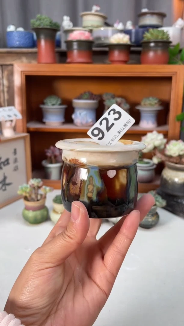 瓷片923小芳直播编号