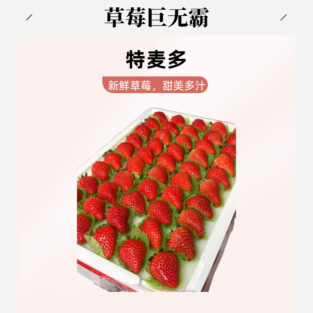 巨无霸 丹东九九草莓 达达闪送到家【好东西】