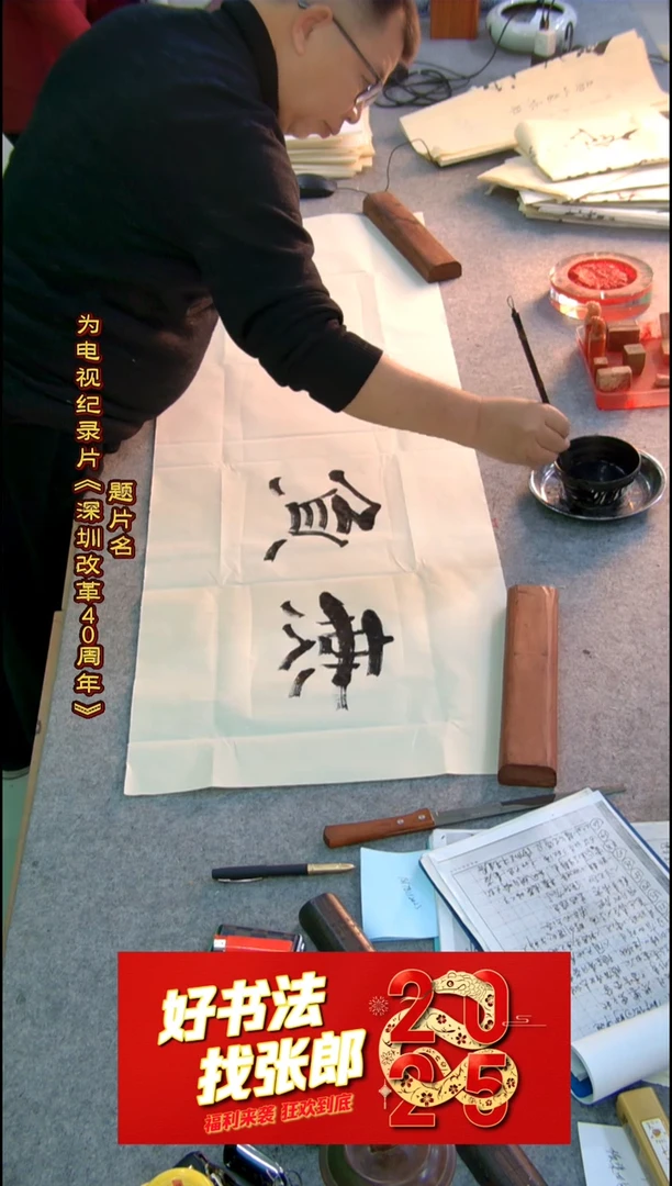 【闪购商品】书法无负今日 张郎书法