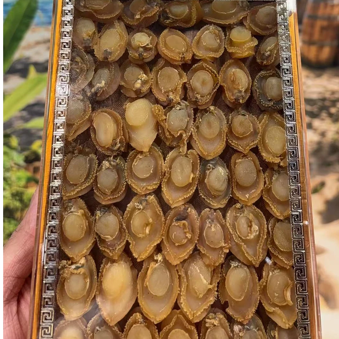 四理四规潮汕特产干鲍鱼送礼佳品/200g（郑）