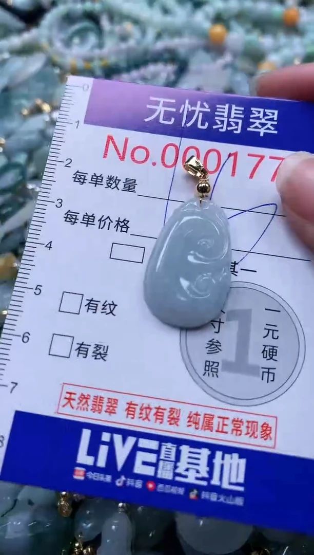 翡翠未镶嵌吊坠(不含链)1772