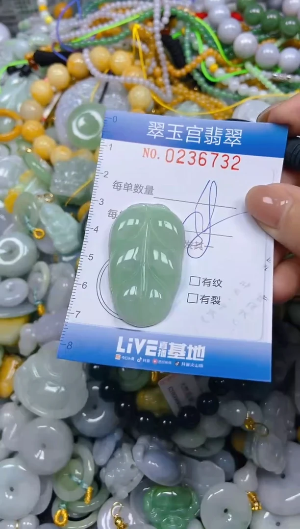 颈饰未镶嵌翡翠闪购C0236732