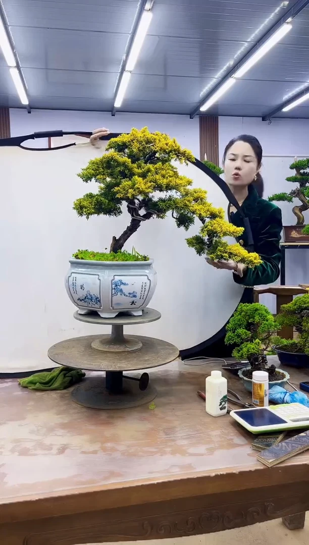 无花朵000000000000