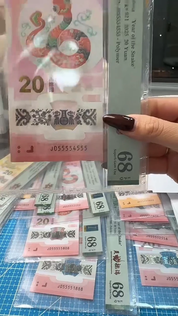 塑料pmg九龙令055554555七挂1