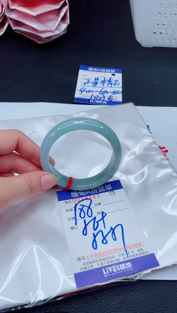 未镶嵌手镯翡翠我4