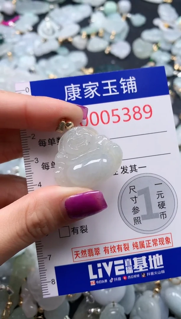 颈饰未镶嵌翡翠5389
