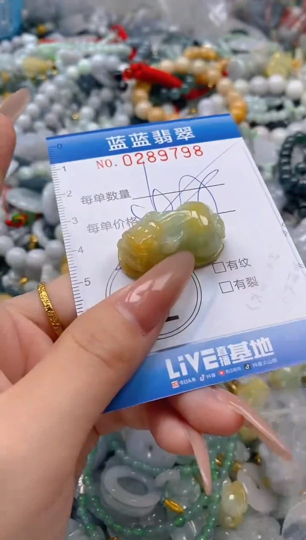 翡翠未镶嵌颈饰闪购0289798