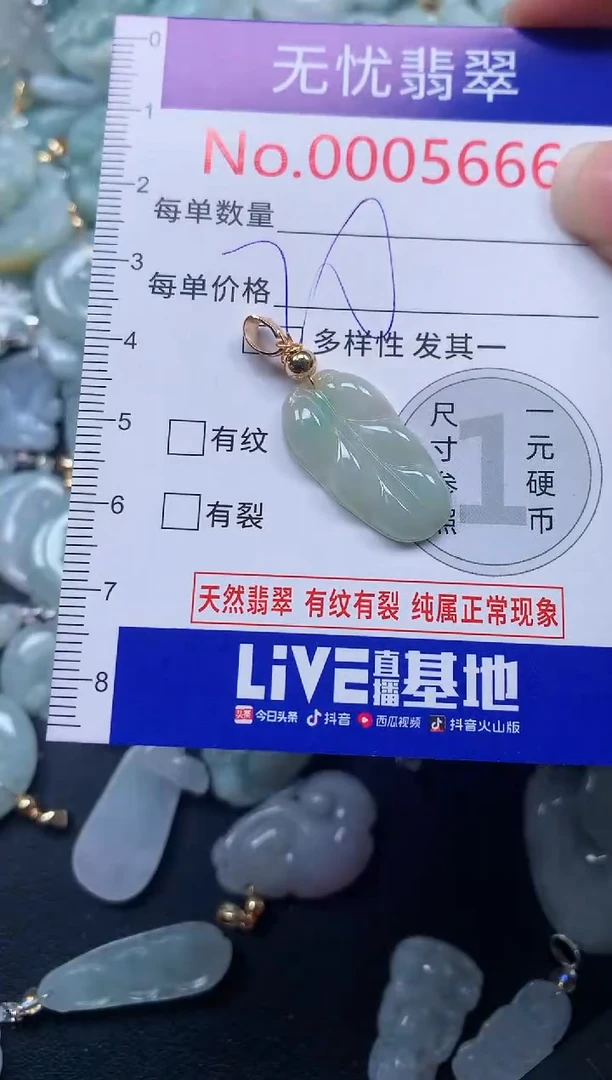 颈饰未镶嵌翡翠5666