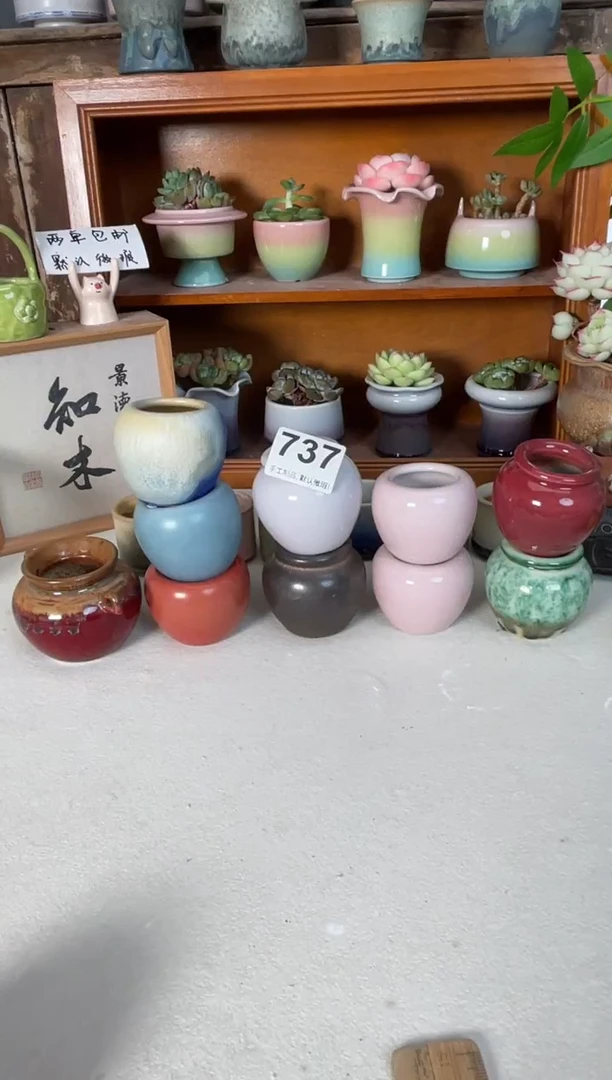 瓷片爱****）737知木小芳花盆