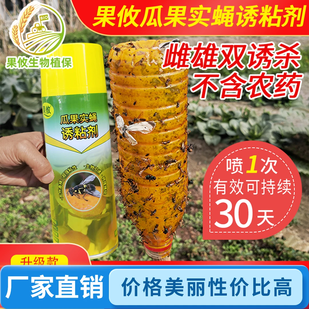 果攸诱粘剂粘蝇纸瓜实蝇果树蔬菜针蜂果实蝇果蝇黄板