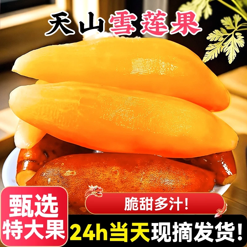 【直播专享】云南天山黄心红心雪莲果新鲜水果当季整箱装整箱包邮