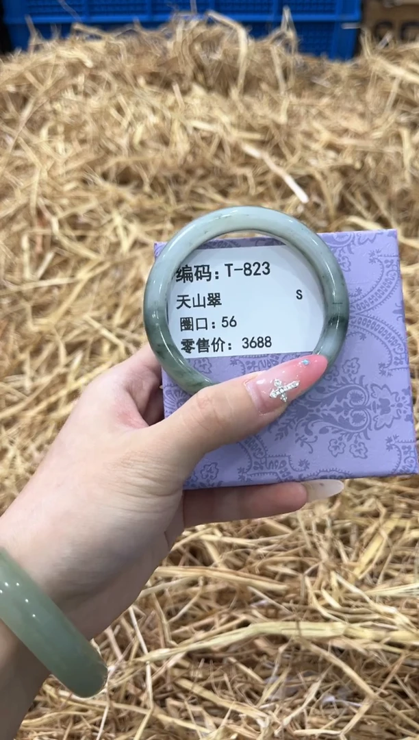 未镶嵌手镯石英质玉T-823
