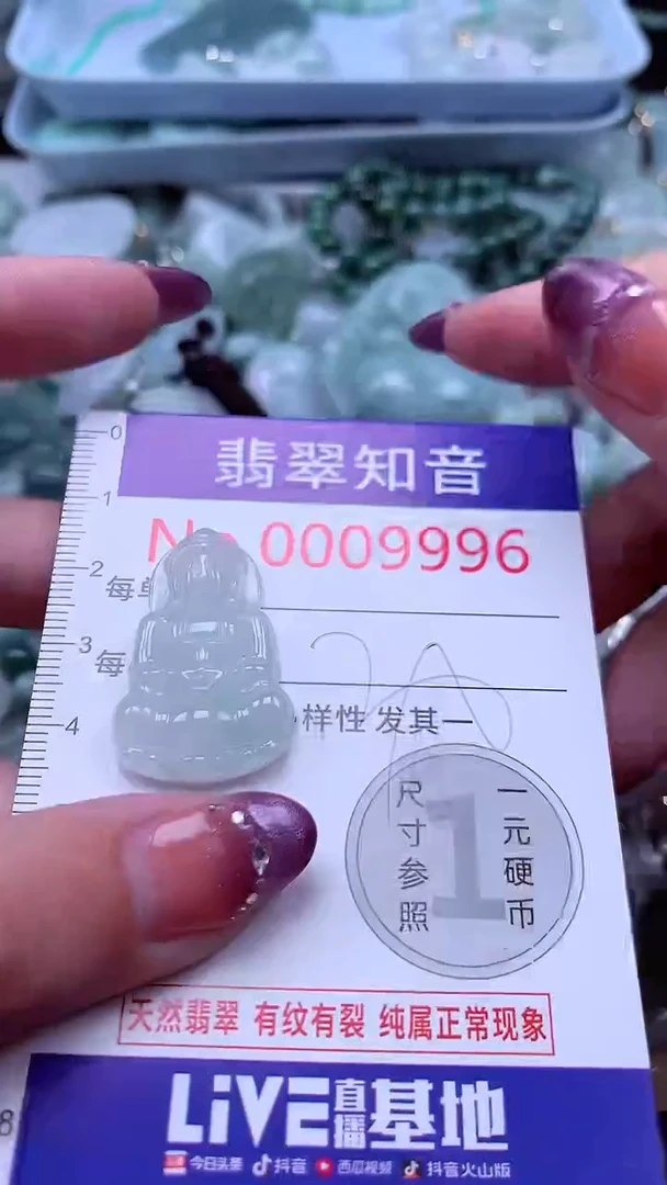 翡翠未镶嵌吊坠(不含链)9996