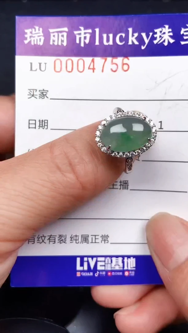 翡翠银S925镶嵌颈饰4756