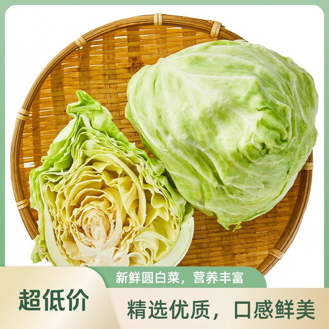 【蔬菜】新鲜牛心白约1000g~1300g/个