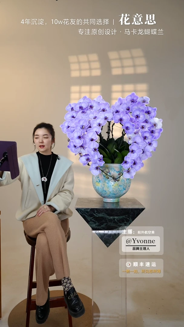 全部花朵002一物一拍蝴蝶兰艺术盆景