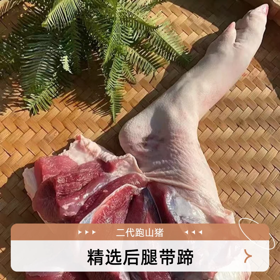 【跑山猪后腿带蹄】正宗二代跑山猪后腿带蹄 散养600天以上  顺丰