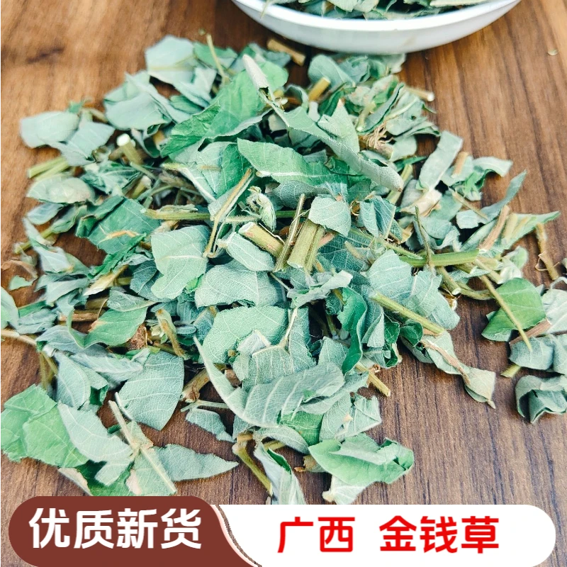 广西大叶金钱草 月亮草 新货 精选新鲜干货泡水煲汤 切段 化石草