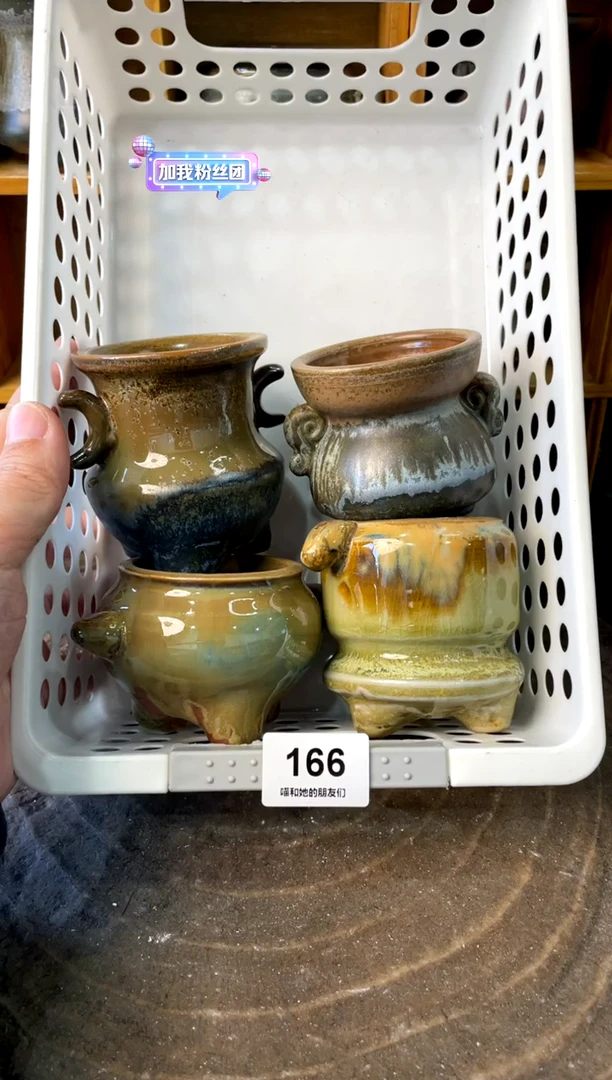 166【多肉花盆多肉盆】