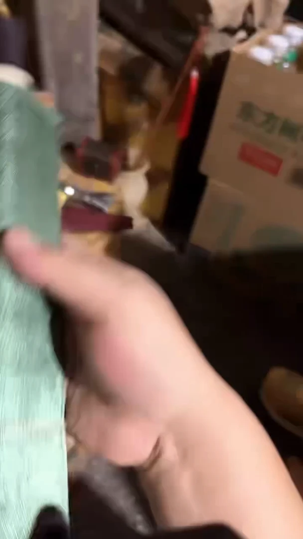 木闪电购链接精品摆件小绿话