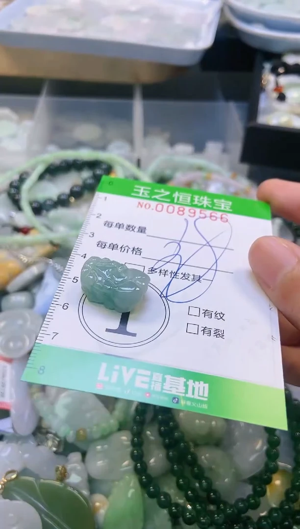 翡翠未镶嵌颈饰闪购0089566