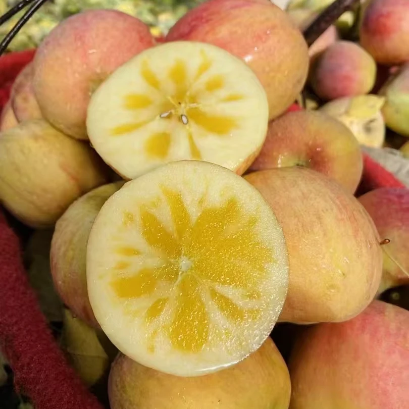 正宗阿克苏红旗坡冰糖心苹果当季新鲜脆甜多汁