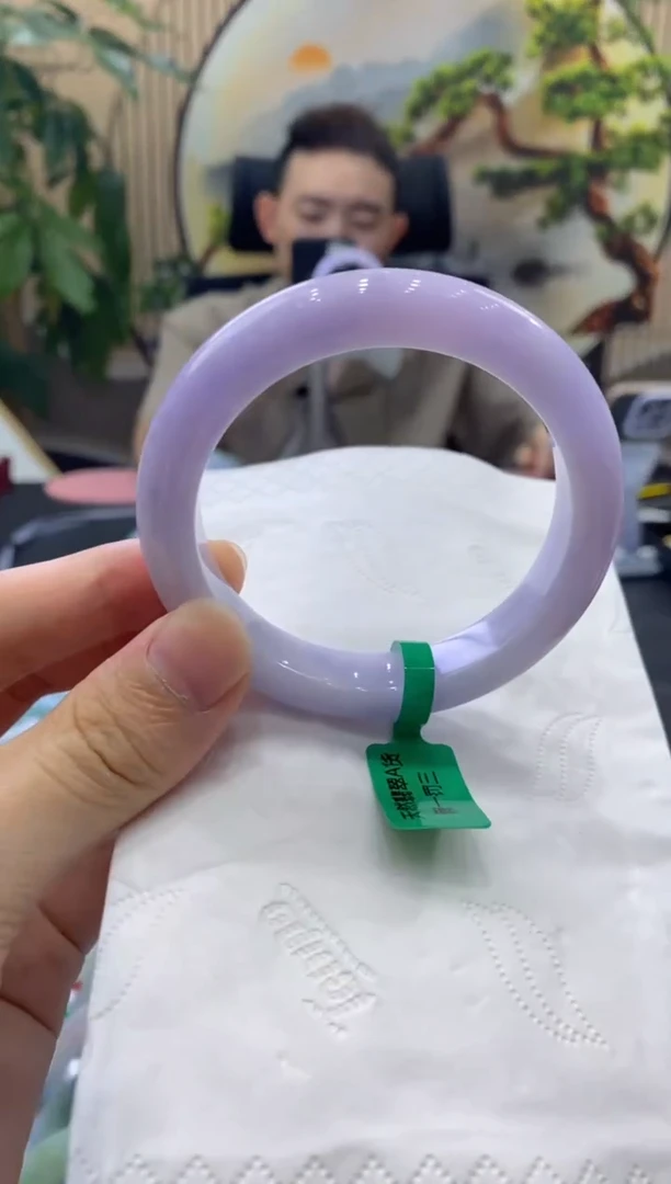 未镶嵌手镯翡翠48841