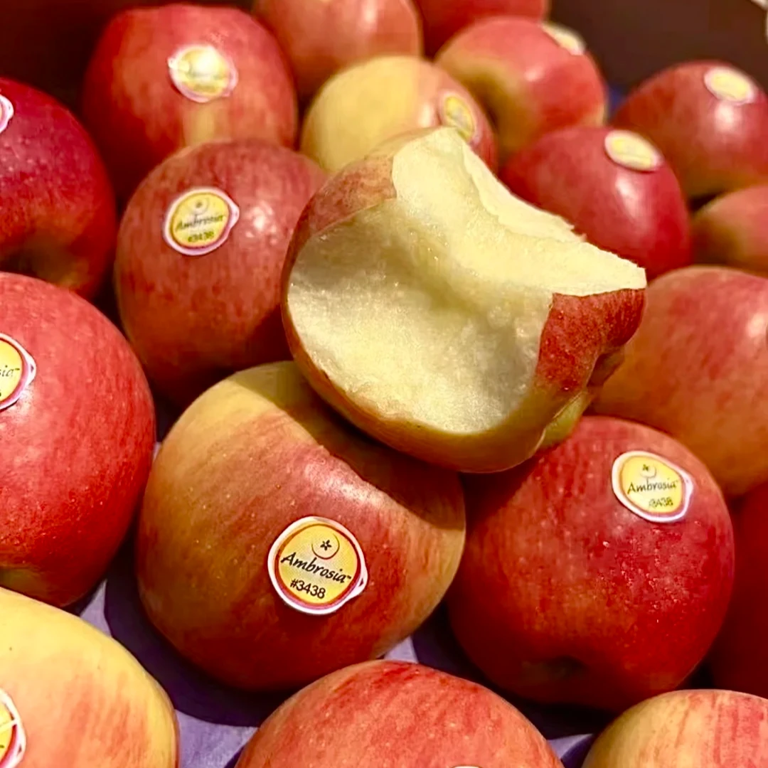 新西兰进口神仙果苹果脆甜香味浓应季水果【顺丰包邮】