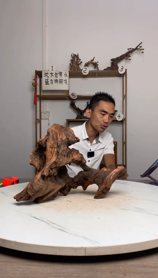 油*鱼缸造景沉木摆件