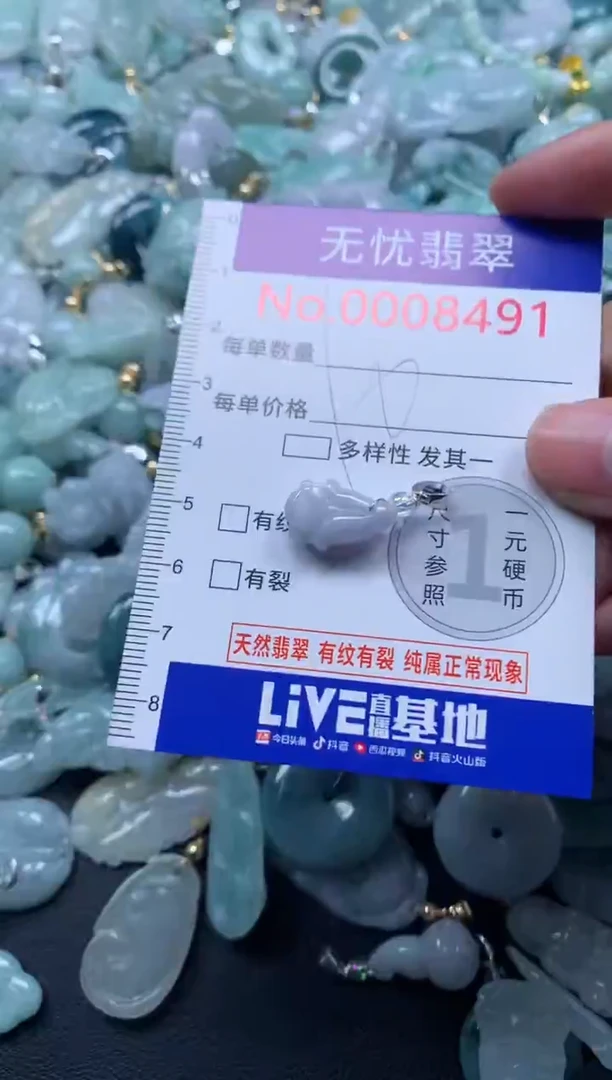 颈饰未镶嵌翡翠8491