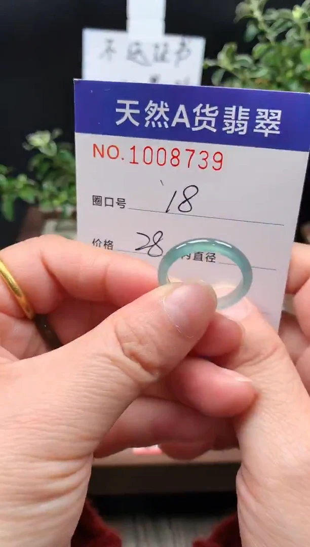 未镶嵌戒指翡翠18#