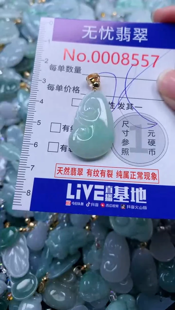 颈饰未镶嵌翡翠8557