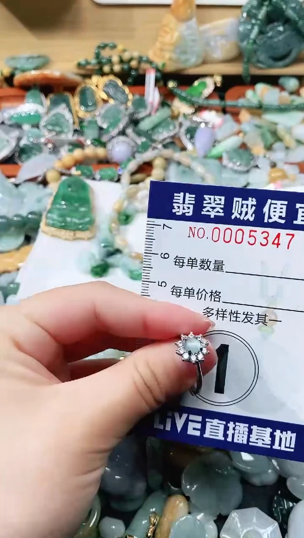 【闪购商品】翡翠颈饰未镶嵌闪购0005347