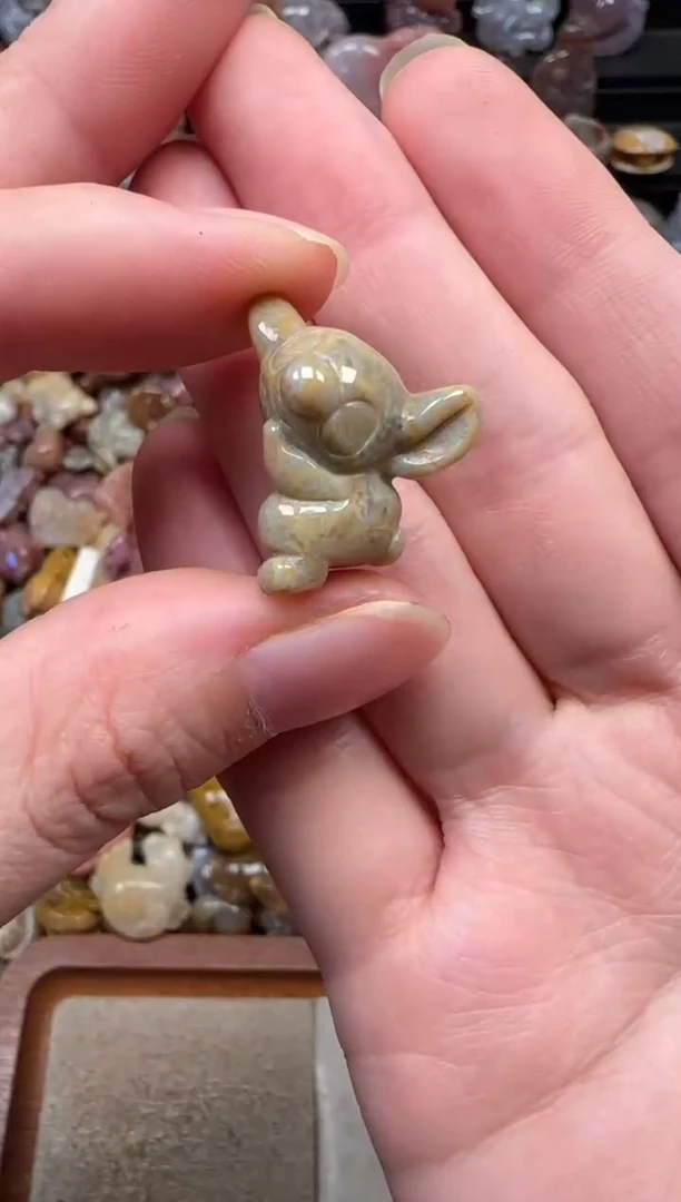 颈饰未镶嵌硅化珊瑚（珊瑚玉）059