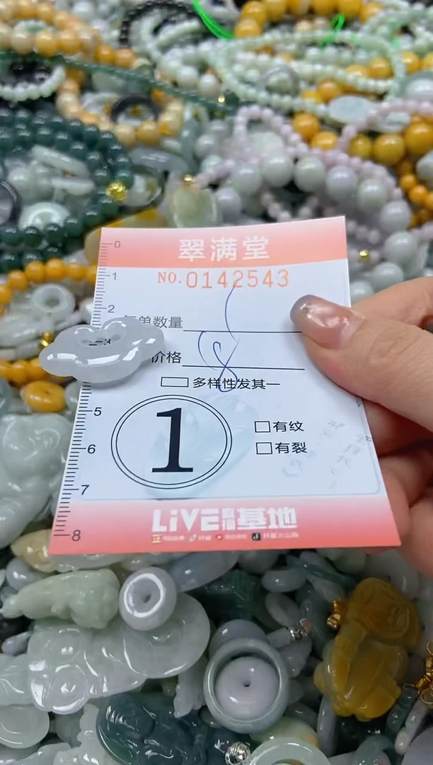 翡翠未镶嵌颈饰闪购0142543