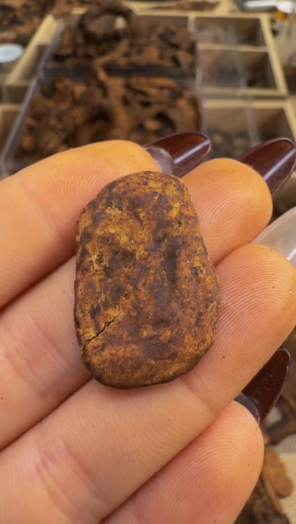 【闪购商品】沉香吊坠越南惠安红土