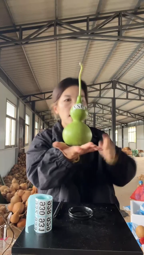 927天然葫芦摆件 一物一拍龙头不保售后